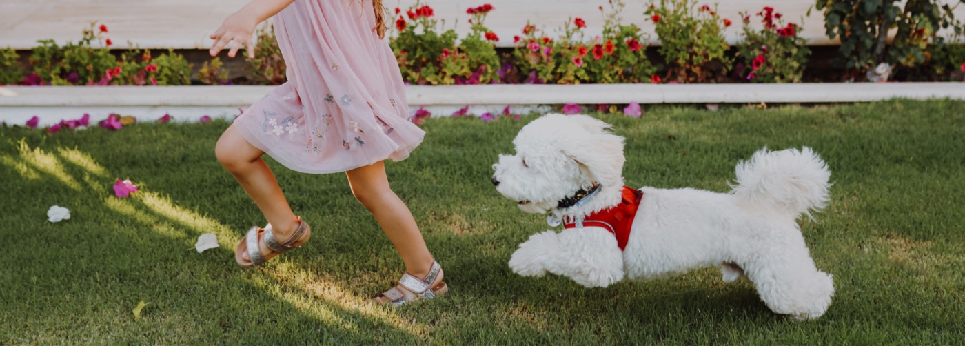 DogWatch of Austin and the Hill Country, Austin, Texas | Outdoor Hidden Dog Fences Slider Image